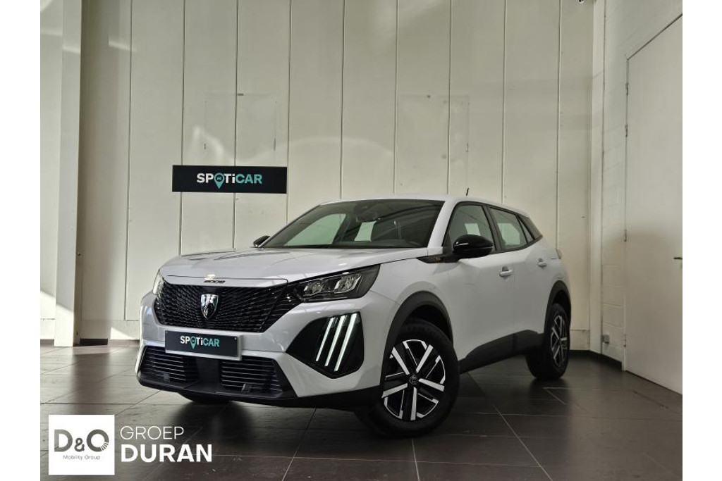 51623799