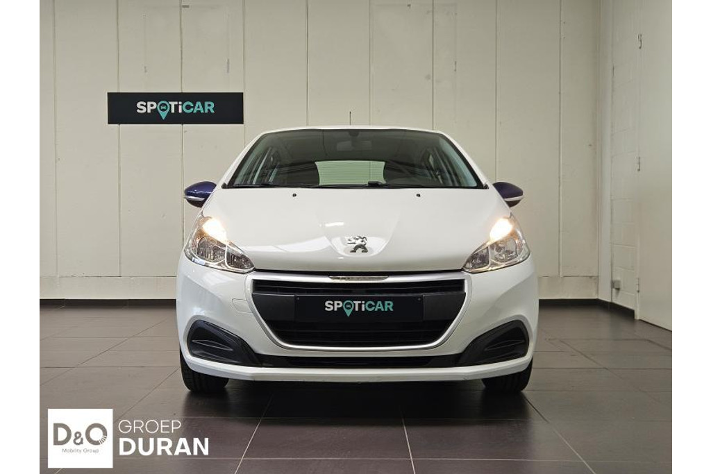 52874994-1.jpg