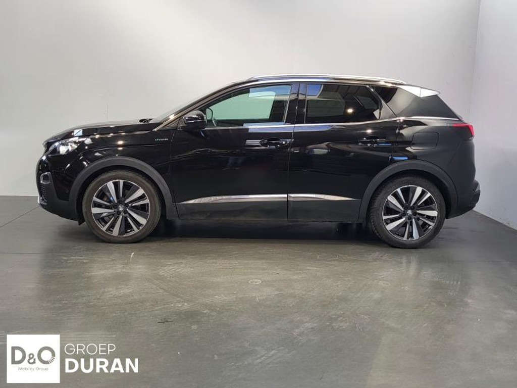 53020044-3.jpg