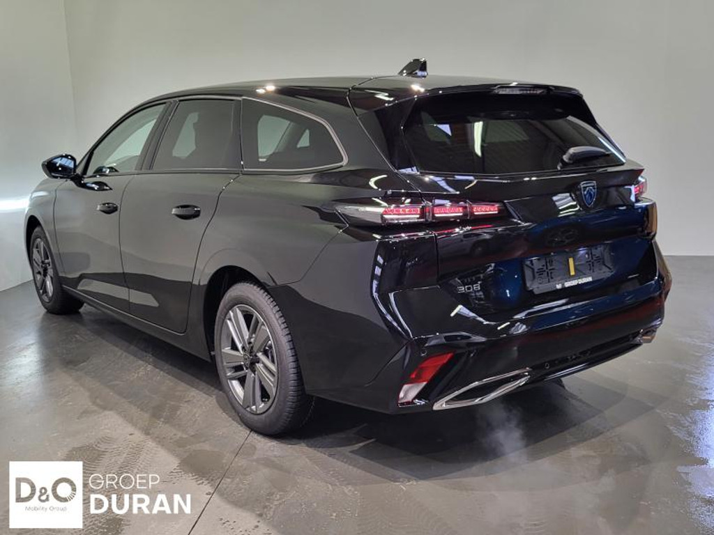 53020609-2.jpg