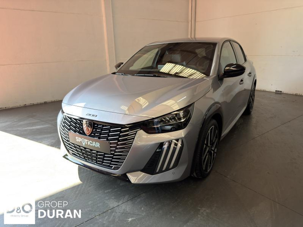 53308003