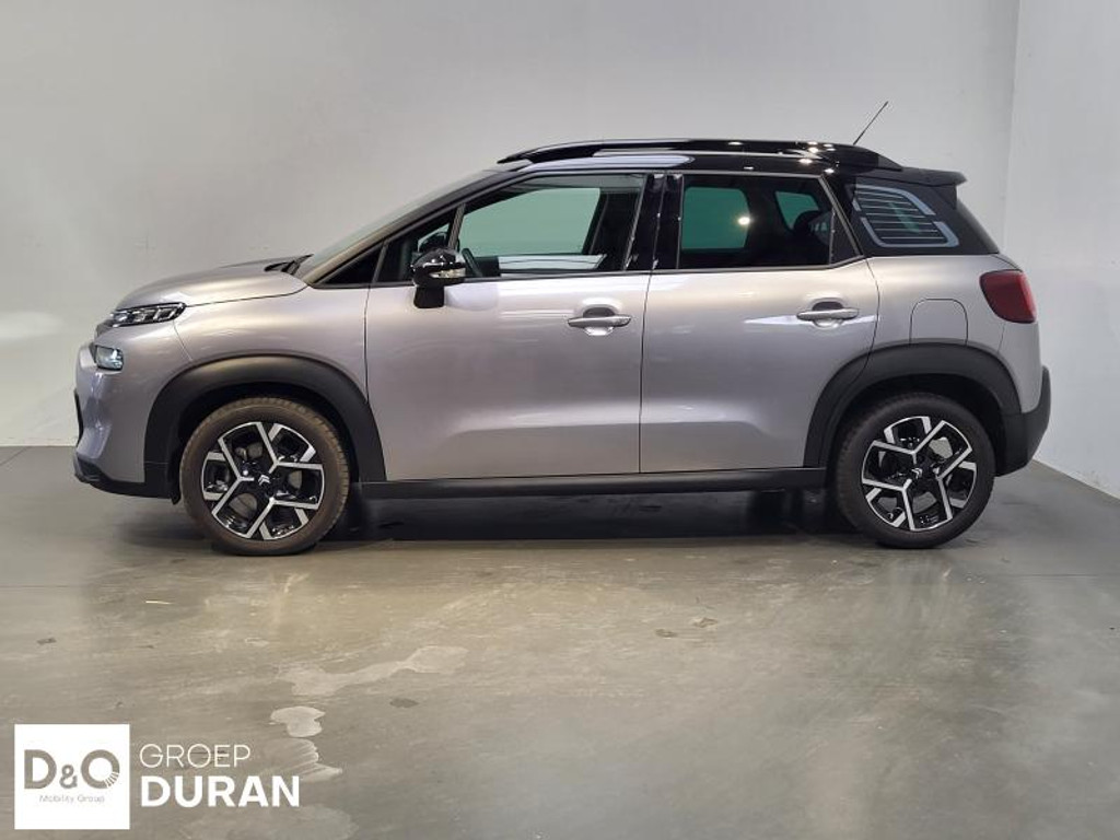 53399204-1.jpg