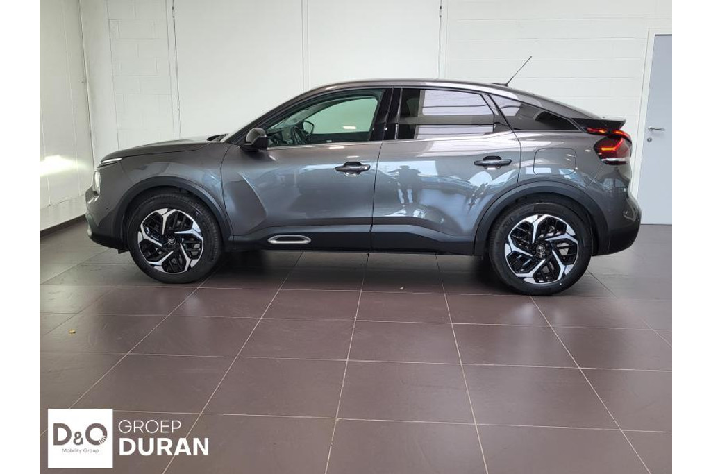 54252497-1.jpg