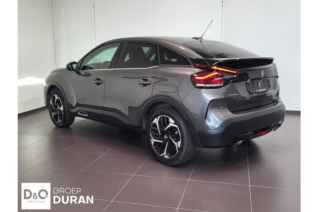 54252497-2.jpg