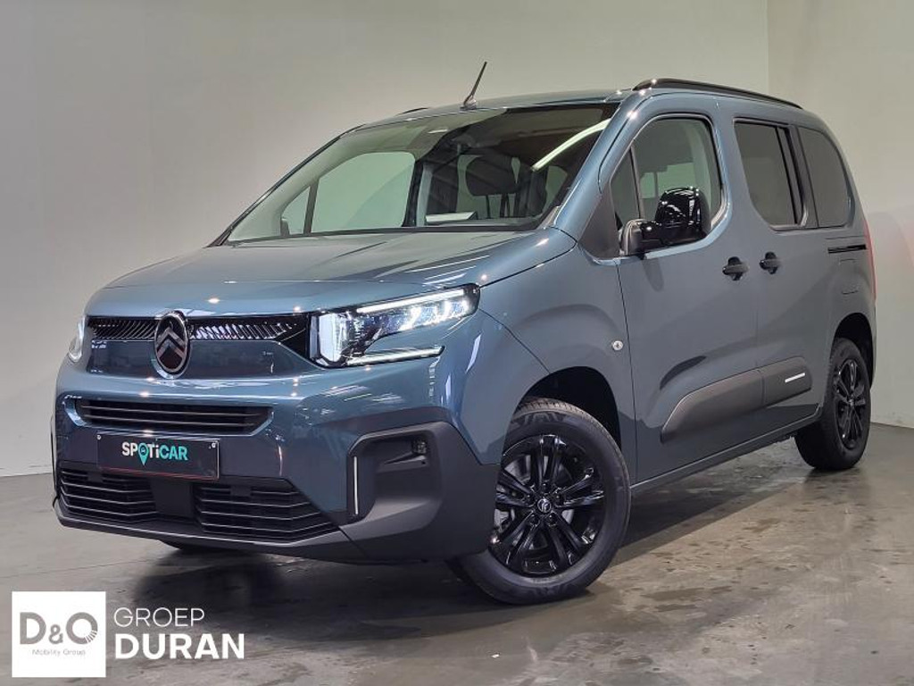 55371994